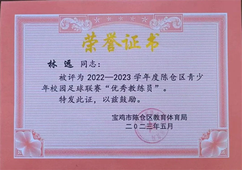 热烈祝贺陈仓职教中心男子足球队荣获区校园足球联赛冠军