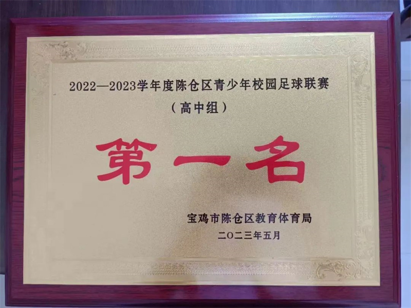 热烈祝贺陈仓职教中心男子足球队荣获区校园足球联赛冠军